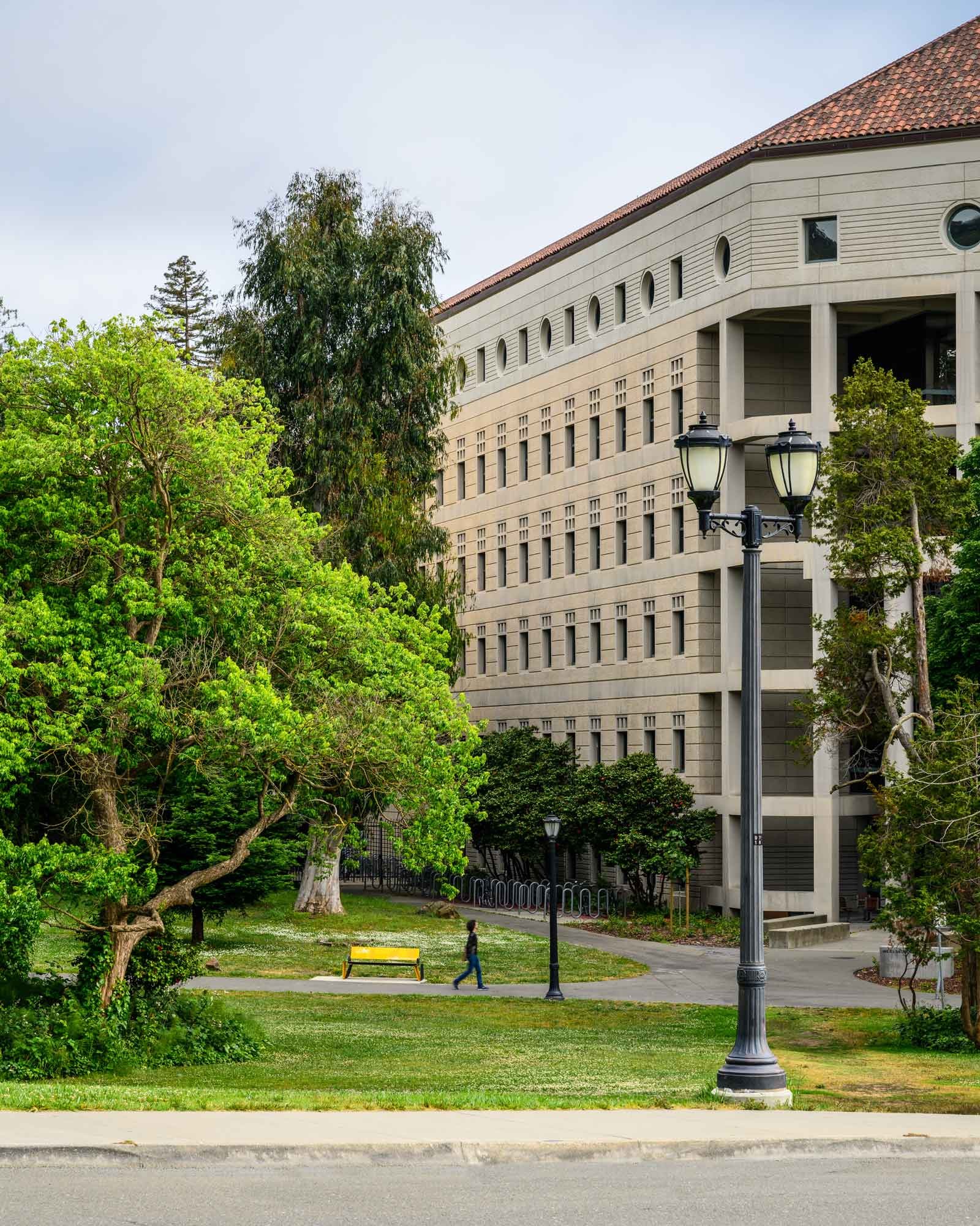 Wide view of a UC Berkeley Loop bench near Department of Molecular & Cell Biology